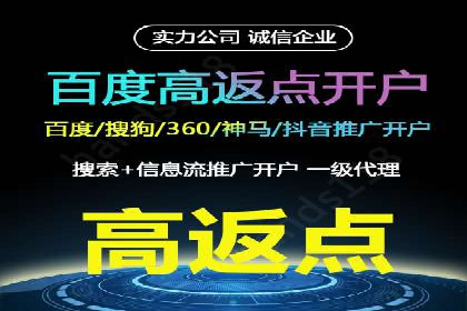 百度竞价托管运营成功案例解析
